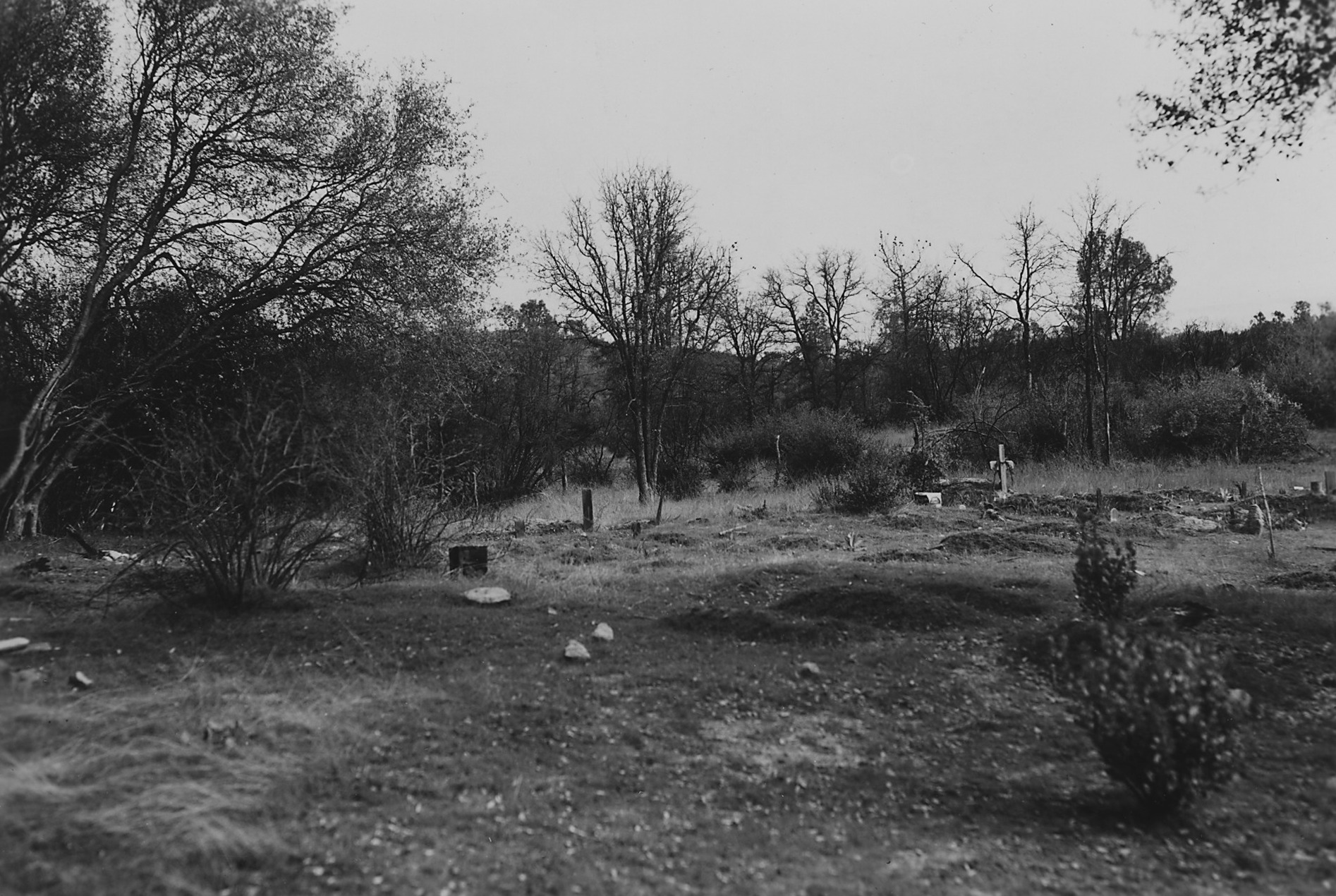 Image Photograph "View looking southeast of Picciune Indian Cemetery